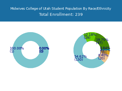 Midwives College of Utah 2025 Student Population by Gender and Race chart