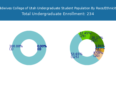 Midwives College of Utah 2025 Undergraduate Enrollment by Gender and Race chart