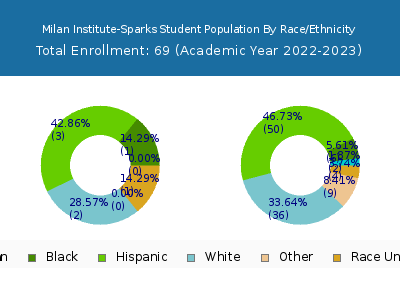 Milan Institute-Sparks 2023 Student Population by Gender and Race chart
