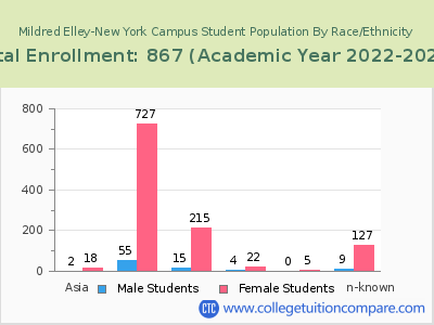 Mildred Elley-New York Campus 2023 Student Population by Gender and Race chart