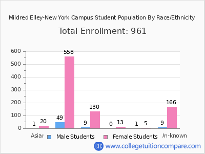 Mildred Elley-New York Campus 2025 Student Population by Gender and Race chart