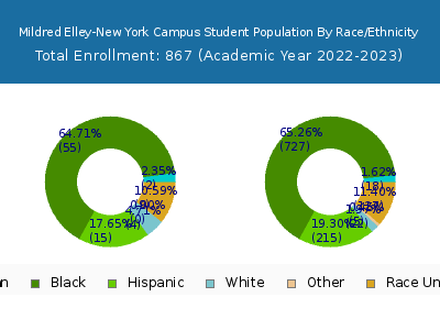 Mildred Elley-New York Campus 2023 Student Population by Gender and Race chart