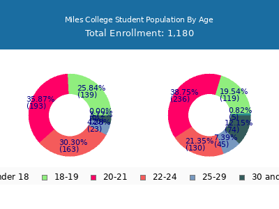 Miles College 2024 Student Population Age Diversity Pie chart