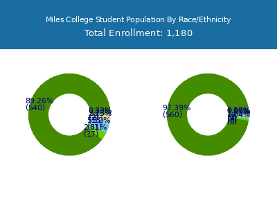 Miles College 2025 Student Population by Gender and Race chart