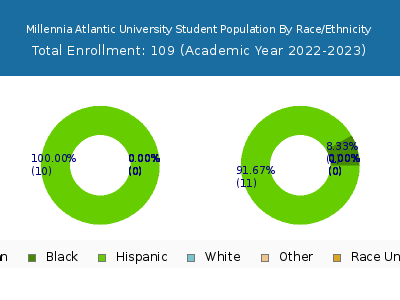 Millennia Atlantic University 2023 Student Population by Gender and Race chart
