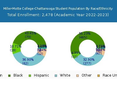 Miller-Motte College-Chattanooga 2023 Student Population by Gender and Race chart