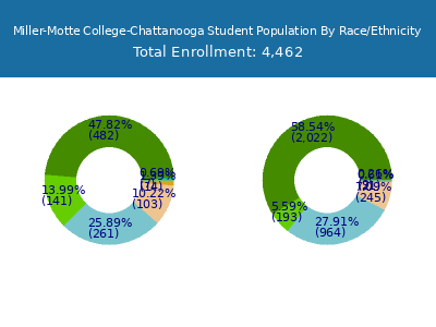 Miller-Motte College-Chattanooga 2025 Student Population by Gender and Race chart