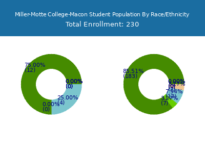 Miller-Motte College-Macon 2025 Student Population by Gender and Race chart