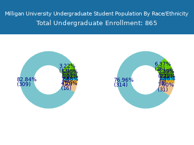Milligan University 2025 Undergraduate Enrollment by Gender and Race chart