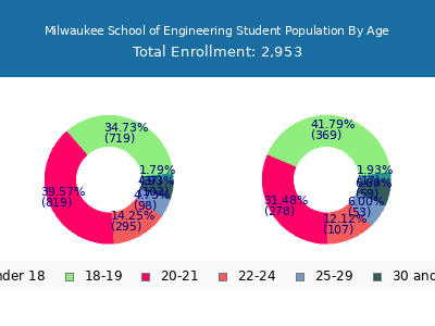 Milwaukee School of Engineering 2025 Student Population Age Diversity Pie chart
