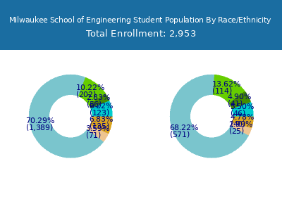 Milwaukee School of Engineering 2025 Student Population by Gender and Race chart