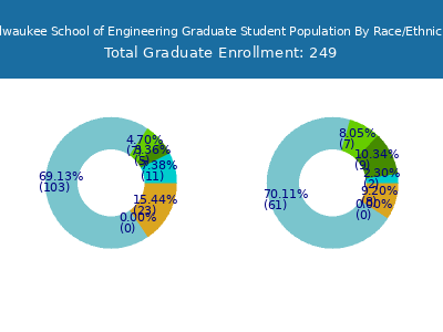 Milwaukee School of Engineering 2025 Graduate Enrollment by Gender and Race chart