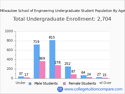Milwaukee School of Engineering 2025 Undergraduate Enrollment by Age chart
