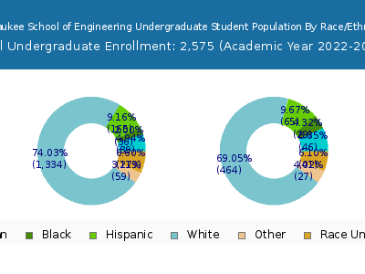 Milwaukee School of Engineering 2023 Undergraduate Enrollment by Gender and Race chart