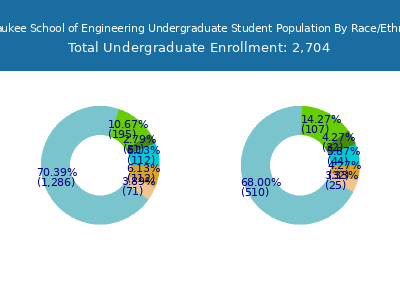 Milwaukee School of Engineering 2025 Undergraduate Enrollment by Gender and Race chart