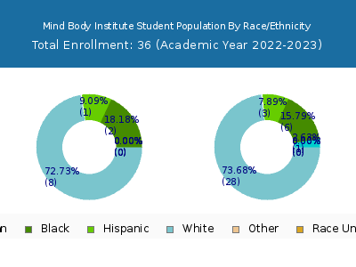 Mind Body Institute 2023 Student Population by Gender and Race chart