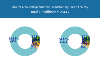 Mineral Area College 2025 Student Population by Gender and Race chart