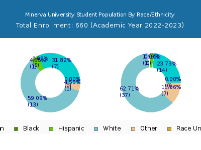Minerva University 2023 Student Population by Gender and Race chart