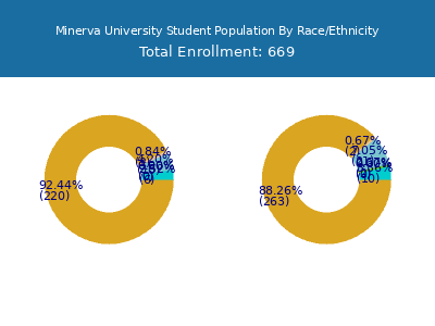 Minerva University 2025 Student Population by Gender and Race chart