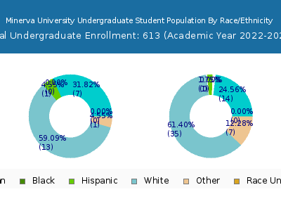 Minerva University 2023 Undergraduate Enrollment by Gender and Race chart