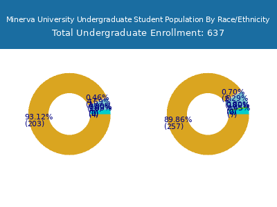 Minerva University 2025 Undergraduate Enrollment by Gender and Race chart
