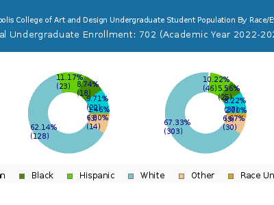 Minneapolis College of Art and Design 2023 Undergraduate Enrollment by Gender and Race chart