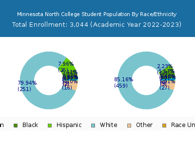 Minnesota North College 2023 Student Population by Gender and Race chart