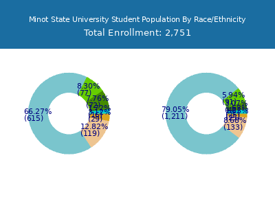 Minot State University 2025 Student Population by Gender and Race chart