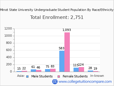 Minot State University 2025 Undergraduate Enrollment by Gender and Race chart