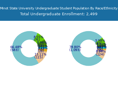 Minot State University 2025 Undergraduate Enrollment by Gender and Race chart