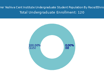 Mirrer Yeshiva Cent Institute 2025 Undergraduate Enrollment by Gender and Race chart