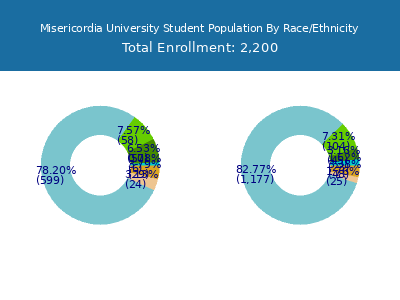 Misericordia University 2025 Student Population by Gender and Race chart