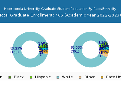 Misericordia University 2023 Graduate Enrollment by Gender and Race chart