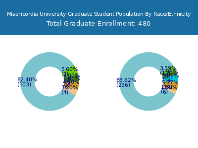 Misericordia University 2025 Graduate Enrollment by Gender and Race chart