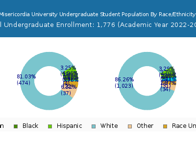 Misericordia University 2023 Undergraduate Enrollment by Gender and Race chart