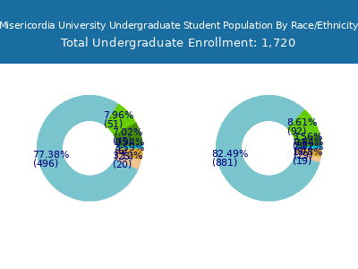 Misericordia University 2025 Undergraduate Enrollment by Gender and Race chart