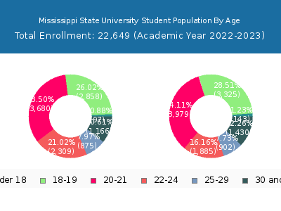 Mississippi State University 2023 Student Population Age Diversity Pie chart