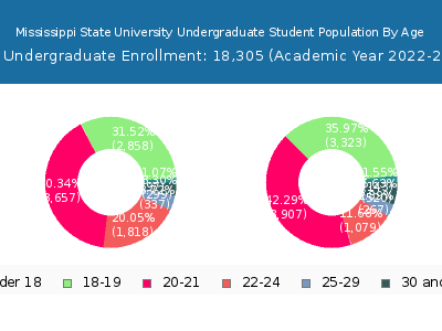 Mississippi State University 2023 Undergraduate Enrollment Age Diversity Pie chart