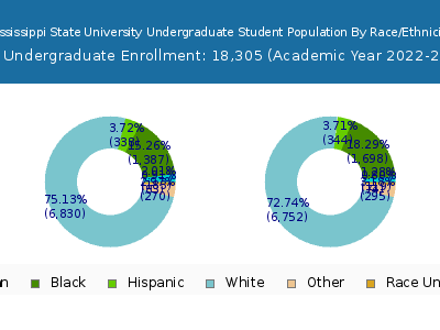 Mississippi State University 2023 Undergraduate Enrollment by Gender and Race chart