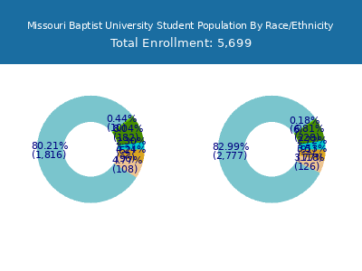 Missouri Baptist University 2025 Student Population by Gender and Race chart