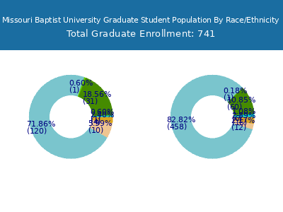 Missouri Baptist University 2025 Graduate Enrollment by Gender and Race chart