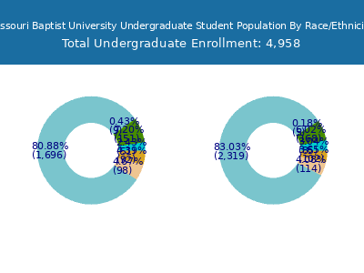 Missouri Baptist University 2025 Undergraduate Enrollment by Gender and Race chart