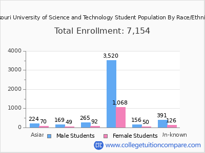 Missouri University of Science and Technology 2025 Student Population by Gender and Race chart