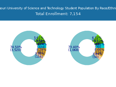 Missouri University of Science and Technology 2025 Student Population by Gender and Race chart
