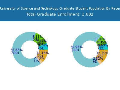 Missouri University of Science and Technology 2025 Graduate Enrollment by Gender and Race chart