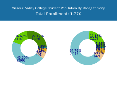 Missouri Valley College 2025 Student Population by Gender and Race chart