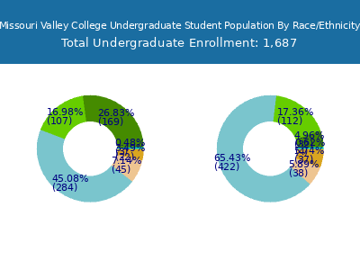Missouri Valley College 2025 Undergraduate Enrollment by Gender and Race chart