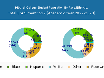 Mitchell College 2023 Student Population by Gender and Race chart