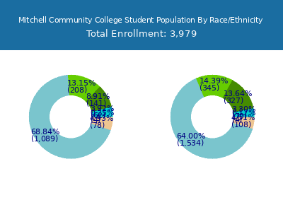 Mitchell Community College 2025 Student Population by Gender and Race chart