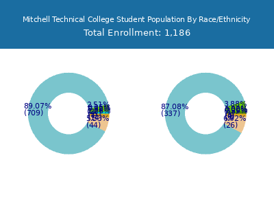 Mitchell Technical College 2025 Student Population by Gender and Race chart